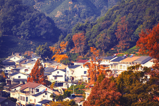 村落秋景