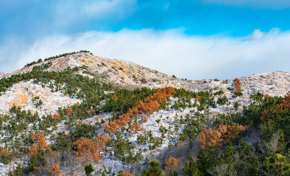 北方冬日美丽的雪后风光