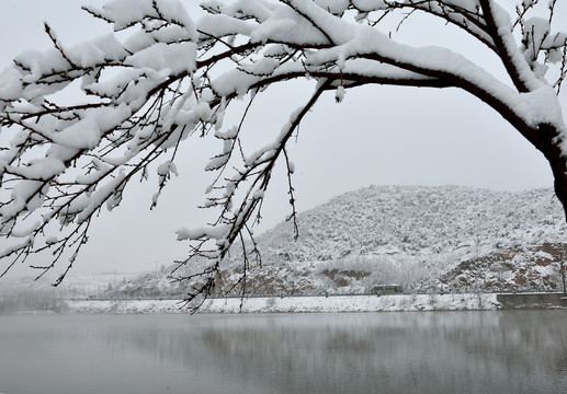 北方冬日美丽的雪后风光