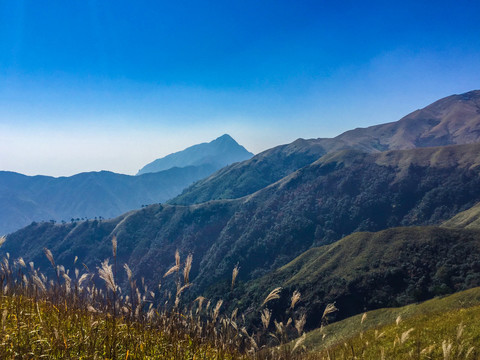 高山