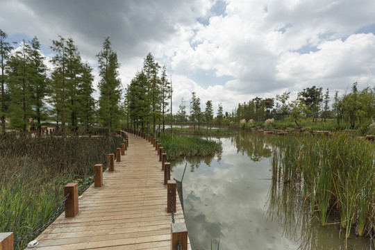 泸西黄草洲湿地公园