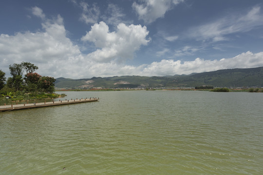 泸西黄草洲湿地