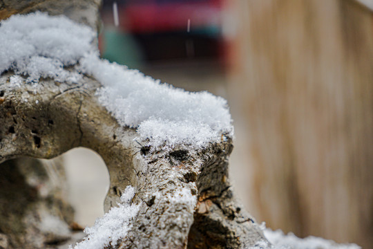 北京潭柘寺开春雪花建筑