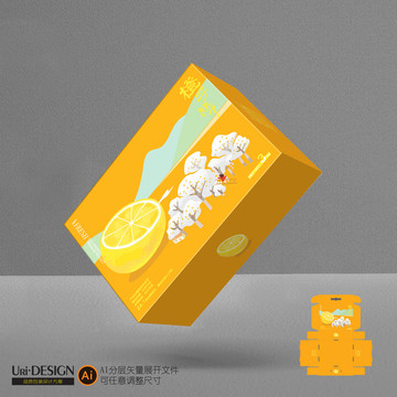 橙子包裝設(shè)計(jì)展開圖