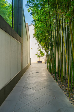 地砖路面和城市景观