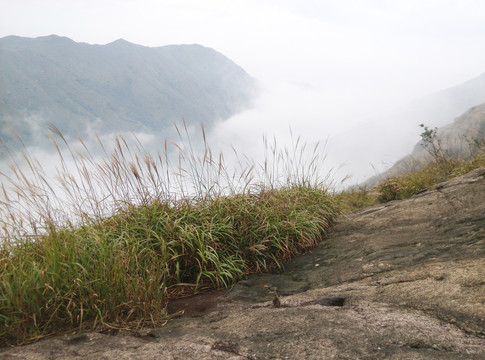 高山云雾