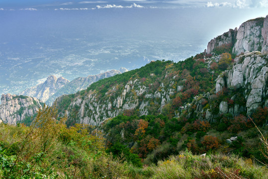 泰山