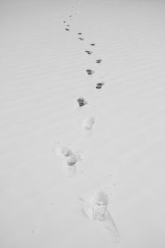 雪地脚印