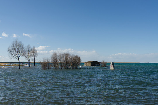 青海湖