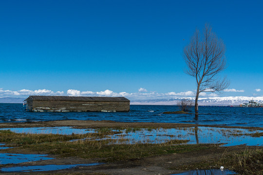 青海湖