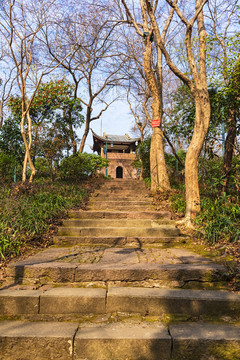 登山小路