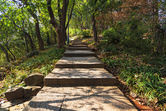 登山道小路