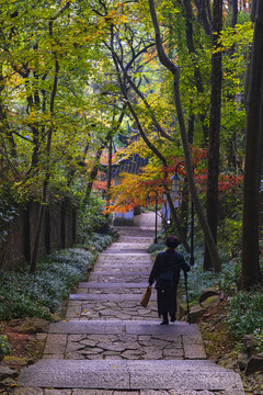 石阶路