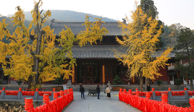 宜昌当阳玉泉寺