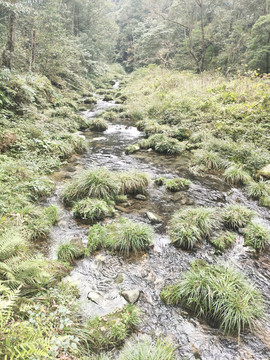 深山溪水