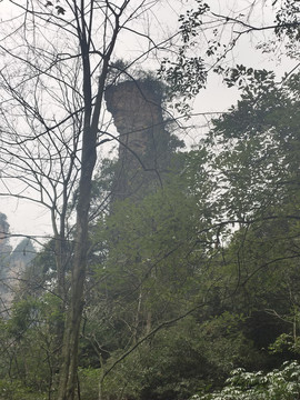 深山老林