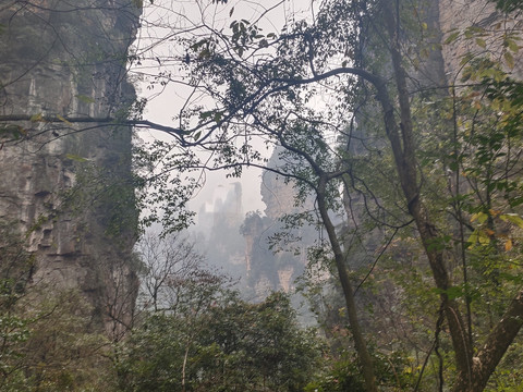 深山老林