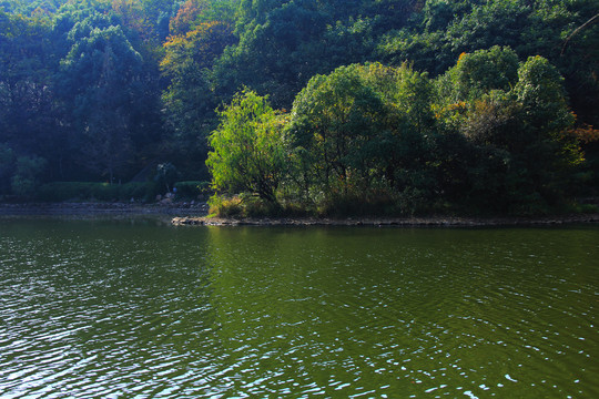 山林湖水