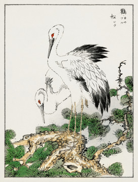 沼田荷舟松鸛