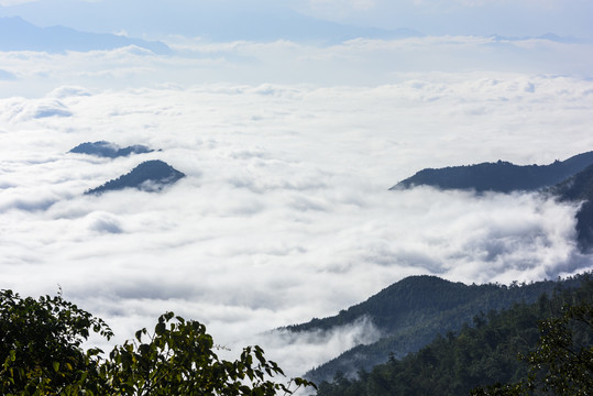 屏边大围山