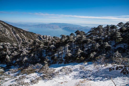 苍山雪