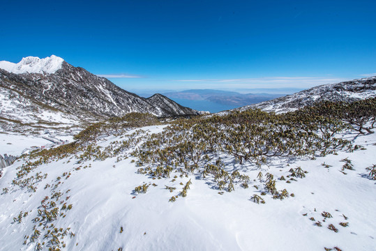 苍山雪