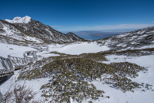 苍山雪