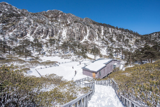 苍山雪