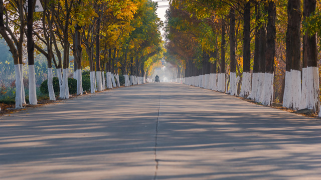 乡村公路秋景