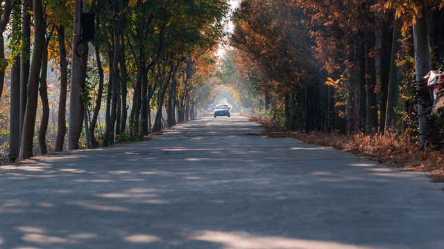 乡村公路秋景