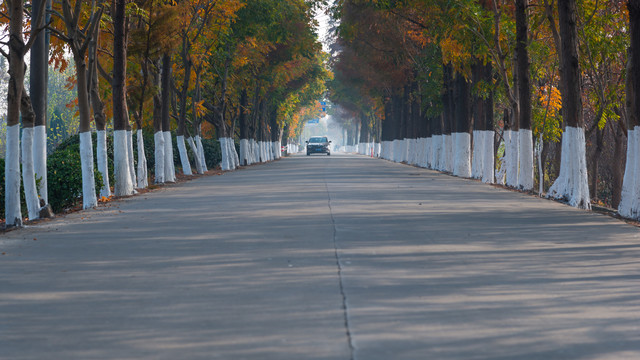 乡村公路秋景