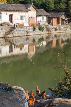 農(nóng)家小院