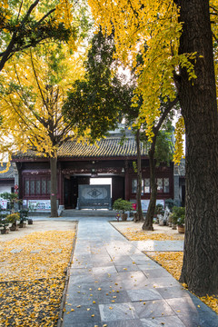 襄阳米公祠