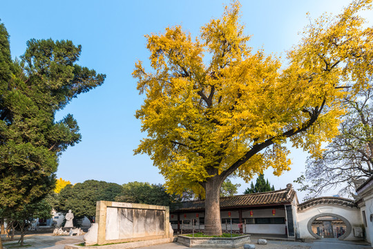 襄阳米公祠