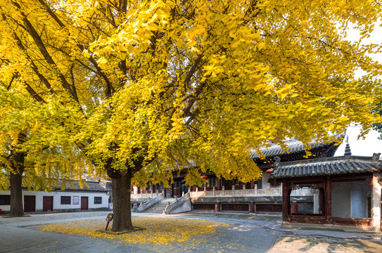 襄阳米公祠