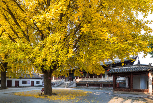 米公祠