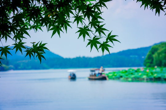 西湖风景