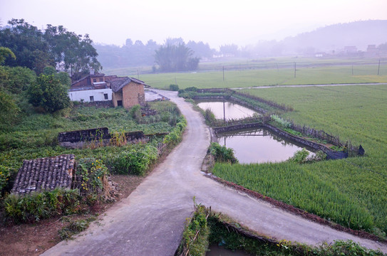 乡村道路