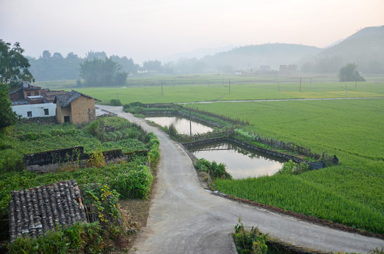 广东农村