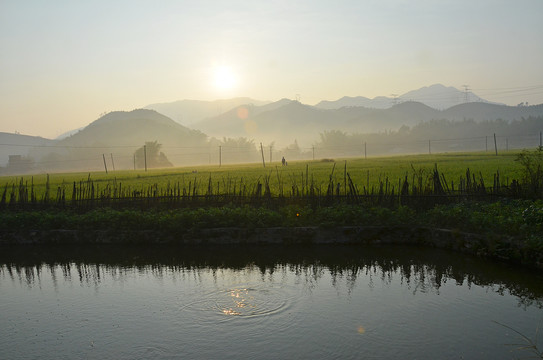 农村早晨日出