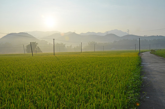 美丽乡村