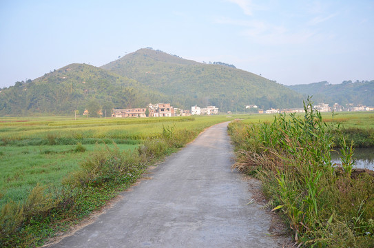 乡村道路