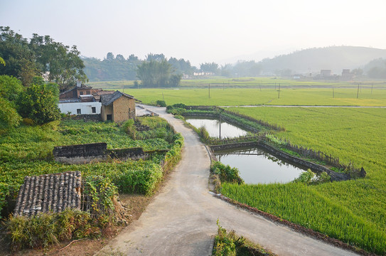 乡村道路