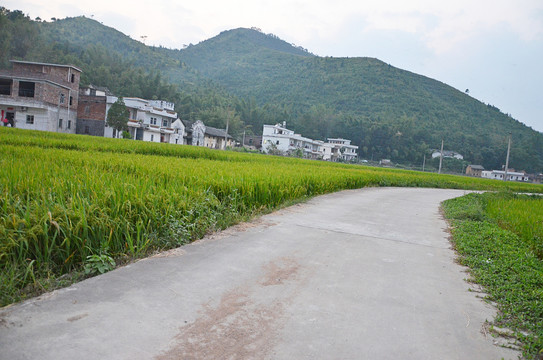 乡村道路