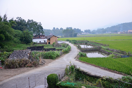 乡村道路