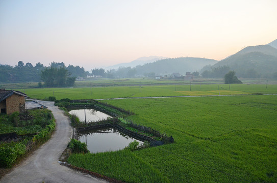 田园风光