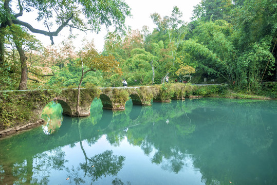 荔波小七孔高清特写大图