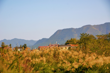 山村风光