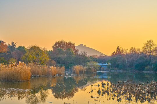 园林秋景