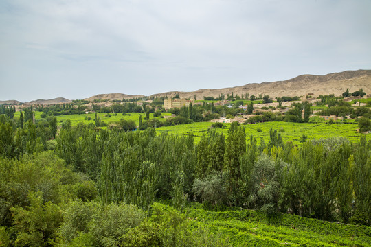 新疆吐鲁番葡萄沟达瓦孜